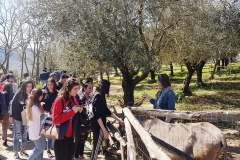 Isis Filangieri in visita a Melagrana 5